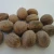Import Best Quality Nutmeg for Essential Oil and Spices Available at Low Prices from Thailand
