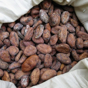 Best Wholesale price Cacao Beans +Dried Criollo Cocoa Beans +Dried Fermented Cacao +Dried Raw Cocoa Beans +Organicc