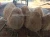 Import Big sales of semi husked coconut 300 -350 usd (Ryan +84938244404) from Vietnam