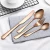 Import Black Stainless Steel Rainbow Cutlery Flatware Sets Dinner Knife and Fork from China