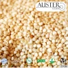 Bolivian Royal Quinoa available at Bulk Prices (Exported from the USA. Pallet orders delivered overseas)