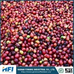 bulk coffee beans whole bean coffee