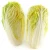 Import bulk fresh organic cabbage chinese cabbage  new harvest chinese baby cabbage for  export from China