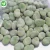Import Bulk Green Fresh IQF Fava Peeled Frozen Broad Bean from China