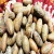 Import bulk supply ogbono nuts 100% purity from farm to market Farm price from China