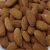 Import Bulk Sweet and bitter apricot kernels from China