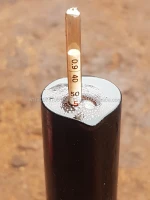 cashew nut shell oil/cnsl/ cardanol/ oil/bio mass