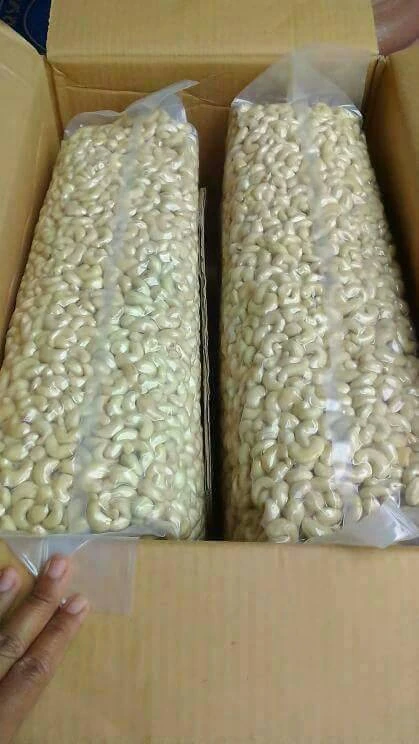 CASHEW NUTS Unprocessed | Indonesia Origin