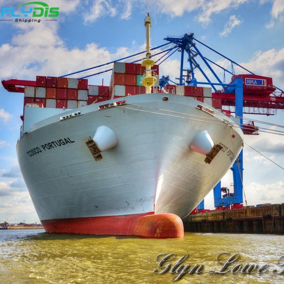 Cheap China&#39;s Top 10 Freight Forwarder Cargo Ships from China to the US Cheap Freight Forwarders Including Inspection Services