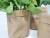 Import Cheap Price Logo Outdoors Washable Kraft Paper Bag Home Planting Flower Plant Pot from China