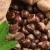 Import chestnuts from China