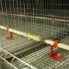 Chicken Cage Fully Automatic Poultry Farm Galvanized Wire H Type Layer Egg Chicken Coop Battery Cage System