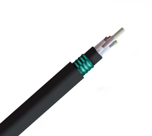 China double armored  GYFTY53 Stranded loose tube double armored fiber optical cable