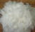 Import China polyester staple fiber from China