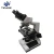 Import China Professional Manufacturing 107 Polarizing Biological Microscope from China