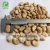 Chinese broad beans Qinghai origin hps grade