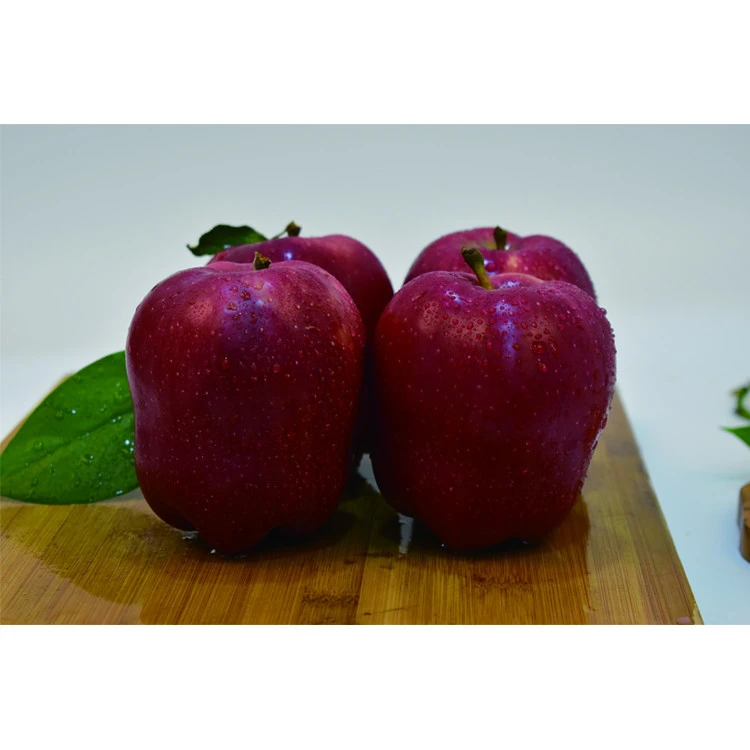 Chinese Fresh Red Fuji apple fruit company