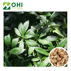Chinese herbs medicine radix isatidis p.e  isatis tinctoria extract powder indigowoad root extract