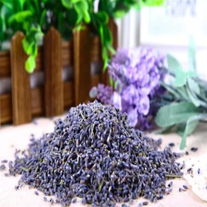 Chinese Lavender EU Standard Natural  Dried Flowers  Purple Lavender  Chinese Purple Flower Bud Tea