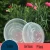 Import Clear Round Plastic Saucer Seeding Plant Saucer Transparent Flower Planter Pot Tray from China