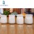 Import Clear Vertical Stripe Milk Glass Pudding Jar with Plastic Lid from China