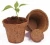Import coco pots from India