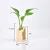 Import Crystal Glass Test Tube Plant Terrarium Vase Flower Pots for Hydroponic Plants Home Garden Decoration from China