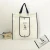 Import Custom logo and size reusable promotional non woven foldable shopping bag from China
