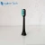 Import Customized Biodegradable All-round Cleaning Replacement Soft Electric Toothbrush Head from China