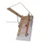 Import Deluxe Wooden Folding Loft Ladder from China