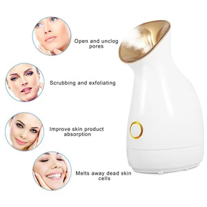 Desktop Handheld Portable Spa Steamer Face Steamer Nano Facial Steamer with lamp for Lady Use