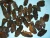 Import Dried Sea Cucumber from Hong Kong