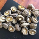 Dried White Truffle Whole Prices
