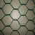 Import Economic Reliable fine chicken wire/ galvanised hexagonal wire mesh wholesale price from China