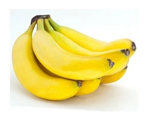 Ecuadorian Fresh Cavendish Bananas
