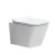 Import European bathroom water closet back to wall toilet rimless floor stand wc sanitary ware from China