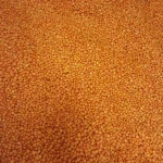 Export  Quality Red Split Lentils for Sales