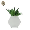 Factories directly sell plants in iron boxes artificial green plants juicy plants home decoration shop decoration