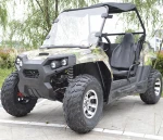 Factory direct sale 200/250/300cc CVT UTV dune buggy