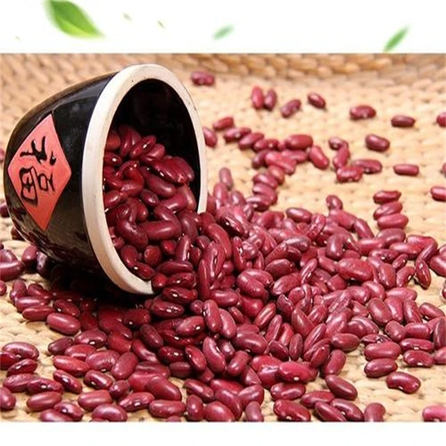 Factory Price Red Kidney Bean High Quality