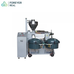 Factory use small seed oil press machine oil  extraction machine cold press oil machine