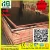 Import Factory used wood formwork timber doka h20 beam from China