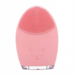 Factory Wholesale Skin Care Face Brush Facial Cleansing Brush Skin Care Face Brush