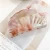 Import Fashion Women Hair Accessories shell-shaped Dazzling Crab Barrette Clips Ponytail Holder Hair Clamp Acetate Big Hair Claw Clips from China