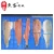 Import Fcm-328 High Efficient Large Size Fish Bone Removing Machine Customized Salmon Fish Meat Picking Machinery Fish Cutter Machine from China