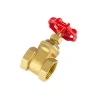 Female threaded forged brass water gas gate valve