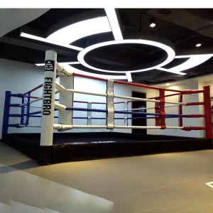 FIGHTBRO 2020 boxing equipment training factory with custom logo printed floor boxing ring