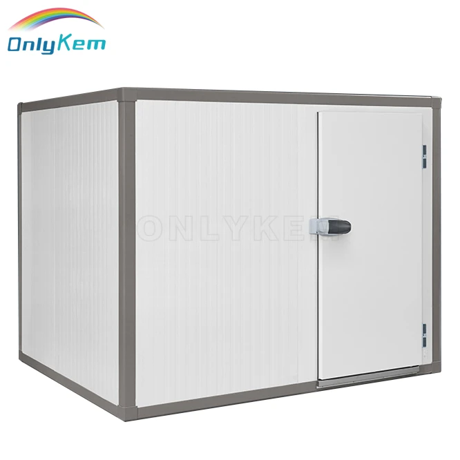 Fish Cold Storage Room,Freezer Refrigerator, Frozen Cold Room Equipment