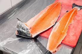 Fish Salmon