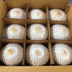 Fresh Coconuts